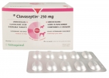 Clavaseptin 250mg