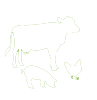 Animaux de production